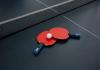 pingpong_(1666612236).jpg